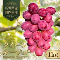 クイーンルージュ® 1kg 信州 長野県産 種なし 皮ごと 赤いぶどう 産地直送