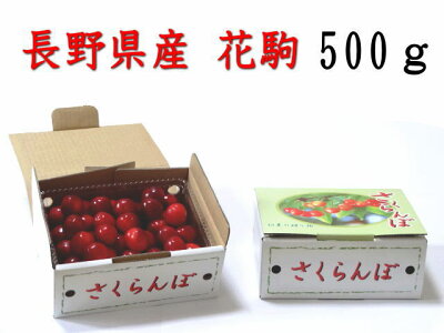 楽天市場 さくらんぼ 花駒 贈答用花駒 ５００ｇ 山崎果樹園