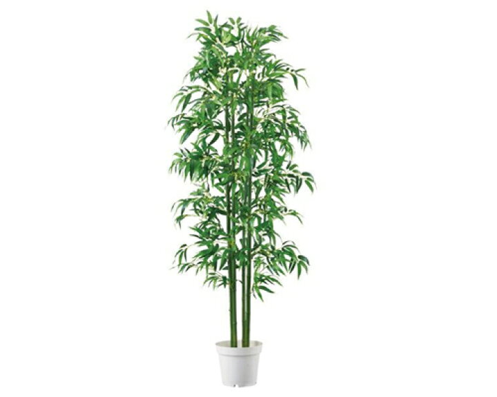 楽天市場 人工観葉植物 バンブー 竹 立ち木 H180cm 1台 人工樹木 ヤマザキｅショップ