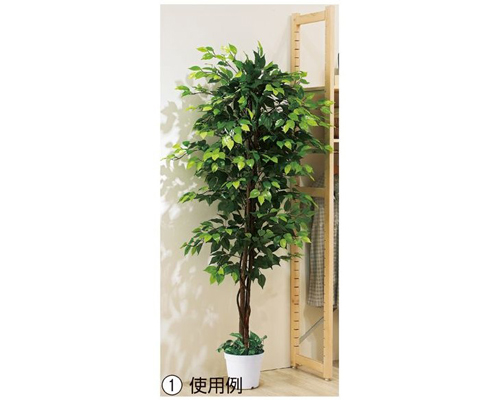 楽天市場】人工観葉植物 ベンジャミン 立ち木 グリーン（H180cm）1台