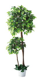 人工樹木　ベンジャミンダブル（H180cm） 1台　立ち木　人工観葉植物