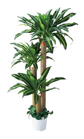 人工樹木　幸福の木（H180cm） 1台　立ち木　人工観葉植物　会社、事業所、自宅の部屋を装飾で美しく華やかに。