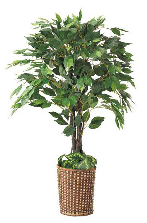 楽天市場】人工観葉植物 ベンジャミン 立ち木 （H110cm） 1台 人工樹木