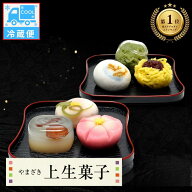 【ランキング1位受賞】 【冷蔵便】 やまざき 上生菓子 12個セット[6種類×2箱] 茶道 茶会 正月 敬老 茶会…