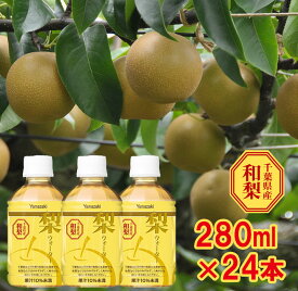 ＜お待たせしました！大人気商品、ペットボトルタイプでリニューアル発売！＞梨ウォーター280ml×24本入　千葉県産和梨　梨ジュース　ヤマザキ