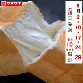 太陽のちから 食パン★6月水曜発送6/3・10・17・24発送★各10セット限定Premium Bakery 太陽のちからHINO CHIKARA ヒノチカラ ひのちからヤマザキ 高級食パン 2斤×2本 ノンスライス 【常温便のみ同梱可能】