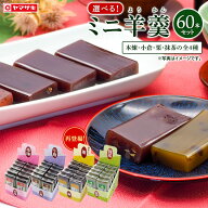 【 スーパーsale割引 】弊店通常価格 5,616円！選べる♪ ミニ羊かん60本 ようかん 一口羊羹 おやつ お菓…