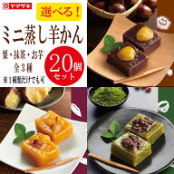 ミニ蒸し羊かん20個セット 食べやすいミニ蒸し羊かん 詰合せ 栗 お芋 全2種類から選べる(抹茶は終売致し…