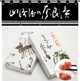 うり・きゅうりきざみ　紙箱入420g
