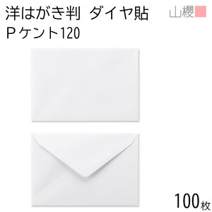 RN  m͂ _C\ PPgCoC 120g giV 100 / ͂p  n X֔ԍgȂ _CA ҏ ē  䈥A tH[}  ^ 00401004-0100