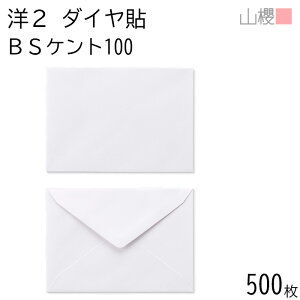 [P[X̔] RN  m2 _C\ BSPgCoC 100g giV 500 / Ap A6p  n X֔ԍgȂ _CA ҏ ē  䈥A tH[}  ^ 00402084-0500