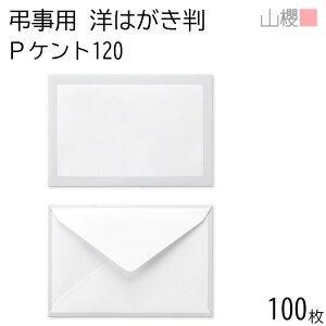 RN  m͂ _C\ lg PPgCoC 120g giV 100 / ͂p  n X֔ԍgȂ  TԂ A ԗ  V @v 00431001-0100