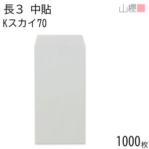 ySALE艿i!!z[P[X̔] RN  3 \ KXJC 70g giV 1,000 / A4Oܗp J[Ntg n X֔ԍgȂ  p Ɩp  Зp rWlX ItBX c c^