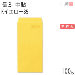 RN  3 \ KCG[ 85g g 100 / A4Oܗp J[Ntg n X֔ԍg  p Ɩp  Зp rWlX ItBX c c^ 00511005-0100