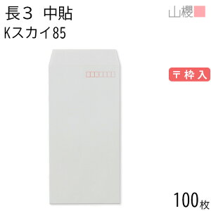 RN  3 \ KXJC 85g g 100 / A4Oܗp J[Ntg n X֔ԍg  p Ɩp  Зp rWlX ItBX c c^ 00511006-0100
