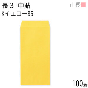 RN  3 \ KCG[ 85g giV 100 / A4Oܗp J[Ntg n X֔ԍgȂ  p Ɩp  Зp rWlX ItBX c c^ 00511014-0100