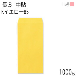 ySALE艿i!!z[P[X̔] RN  3 \ KCG[ 85g giV 1,000 / A4Oܗp J[Ntg n X֔ԍgȂ  p Ɩp  Зp rWlX ItBX c c