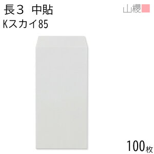 RN  3 \ KXJC 85g giV 100 / A4Oܗp J[Ntg n X֔ԍgȂ  p Ɩp  Зp rWlX ItBX c c^ 00511021-0100