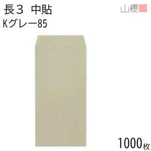 [P[X̔] RN  3 \ KO[ 85g giV 1,000 / A4Oܗp J[Ntg n X֔ԍgȂ  p Ɩp  Зp rWlX ItBX c c^ 00511022-1000