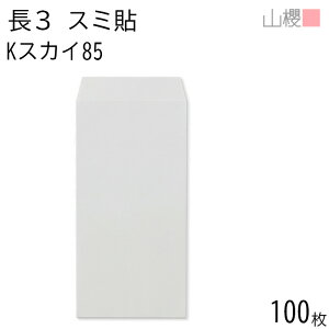 RN  3 X~\ KXJC 85g giV 100 / A4Oܗp J[Ntg n X֔ԍgȂ  p Ɩp  Зp rWlX ItBX c c^ 00513226-0100