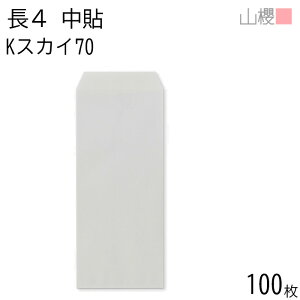 RN  4 \ KXJC 70g giV 100 / B5Oܗp J[Ntg n X֔ԍgȂ  p Ɩp  Зp rWlX ItBX c c^ 00517017-0100