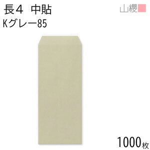 [P[X̔] RN  4 \ KO[ 85g giV 1,000 / B5Oܗp J[Ntg n X֔ԍgȂ  p Ɩp  Зp rWlX ItBX c c^ 00517035-1000
