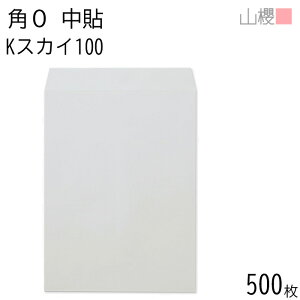 ySALE10%OFF!z[P[X̔] RN  p0 \ KXJC 100g giV 500 / B4p J[Ntg n X֔ԍgȂ  p Ɩp  Зp rWlX ItBX c c^ 0052400