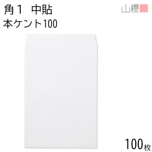 RN  p1 \ {PgCoC 100g giV 100 / B4p  n X֔ԍgȂ  p Ɩp  Зp rWlX ItBX c c^ 00526004-0100