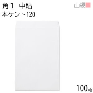 RN  p1 \ {PgCoC 120g giV 100 / B4p  n X֔ԍgȂ  p Ɩp  Зp rWlX ItBX c c^ 00526005-0100