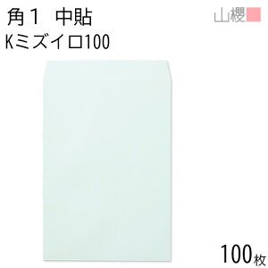 RN  p1 \ K~YC 100g giV 100 / B4p J[Ntg n X֔ԍgȂ  p Ɩp  Зp rWlX ItBX c c^ 00527002-0100