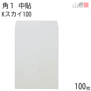 RN  p1 \ KXJC 100g giV 100 / B4p J[Ntg n X֔ԍgȂ  p Ɩp  Зp rWlX ItBX c c^ 00527006-0100