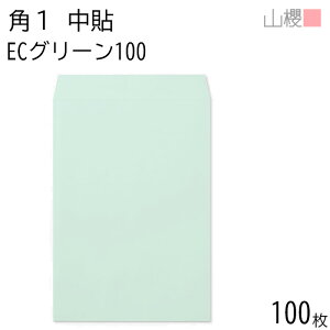 RN  p1 \ ECO[CoC 100g giV 100 / B4p pXeJ[ n X֔ԍgȂ  p Ɩp  Зp rWlX ItBX c c^ 00528003-0100