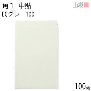 RN  p1 \ ECO[CoC 100g giV 100 / B4p pXeJ[ n X֔ԍgȂ  p Ɩp  Зp rWlX ItBX c c^ 00528004-0100