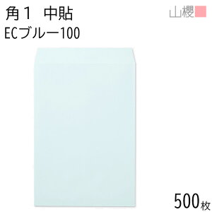 [P[X̔] RN  p1 \ ECu[CoC 100g giV 500 / B4p pXeJ[ n X֔ԍgȂ  p Ɩp  Зp rWlX ItBX c c^ 00528005-0500