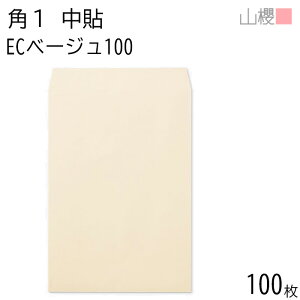 RN  p1 \ ECx[W 100g giV 100 / B4p pXeJ[ n X֔ԍgȂ  p Ɩp  Зp rWlX ItBX c c^ 00528006-0100