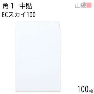RN  p1 \ ECXJC 100g giV 100 / B4p pXeJ[ n X֔ԍgȂ  p Ɩp  Зp rWlX ItBX c c^ 00528008-0100