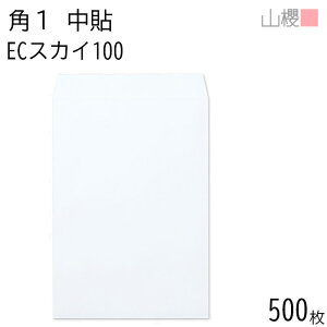 [P[X̔] RN  p1 \ ECXJC 100g giV 500 / B4p pXeJ[ n X֔ԍgȂ  p Ɩp  Зp rWlX ItBX c c^ 00528008-0500