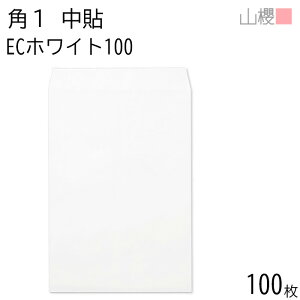RN  p1 \ ECzCgCoC 100g giV 100 / B4p  n X֔ԍgȂ  p Ɩp  Зp rWlX ItBX c c^ 00528010-0100