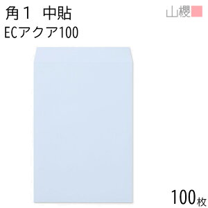 RN  p1 \ ECANACoC 100g giV 100 / B4p pXeJ[ n X֔ԍgȂ  p Ɩp  Зp rWlX ItBX c c^ 00528011-0100