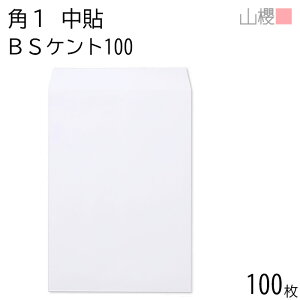 RN  p1 \ BSPgCoC 100g giV 100 / B4p  n X֔ԍgȂ  p Ɩp  Зp rWlX ItBX c c^ 00528101-0100