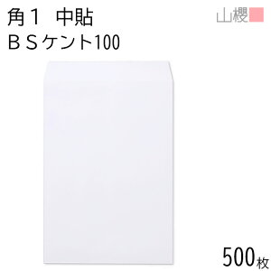[P[X̔] RN  p1 \ BSPgCoC 100g giV 500 / B4p  n X֔ԍgȂ  p Ɩp  Зp rWlX ItBX c c^ 00528101-0500