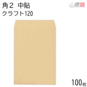 RN  p2 \ NtgCoC 120g giV 100 / A4p  n X֔ԍgȂ  p Ɩp  Зp rWlX ItBX c c^ 00529014-0100