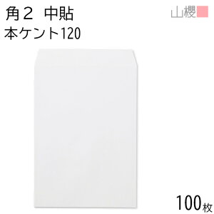 RN  p2 \ {PgCoC 120g giV 100 / A4p  n X֔ԍgȂ  p Ɩp  Зp rWlX ItBX c c^ 00530004-0100