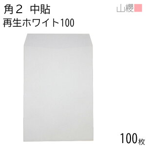 RN  p2 \ zCgR40CoC 100g giV 100 / A4p  n X֔ԍgȂ  p Ɩp  Зp rWlX ItBX c c^ 00530011-0100