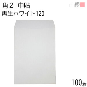 RN  p2 \ zCgR40CoC 120g giV 100 / A4p  n X֔ԍgȂ  p Ɩp  Зp rWlX ItBX c c^ 00530012-0100