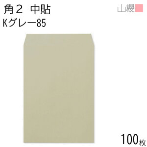 RN  p2 \ KO[ 85g giV 100 / A4p J[Ntg n X֔ԍgȂ  p Ɩp  Зp rWlX ItBX c c^ 00531007-0100