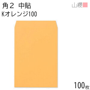 RN  p2 \ KIW 100g giV 100 / A4p J[Ntg n X֔ԍgȂ  p Ɩp  Зp rWlX ItBX c c^ 00532004-0100