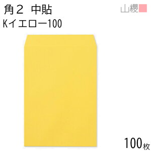 RN  p2 \ KCG[ 100g giV 100 / A4p J[Ntg n X֔ԍgȂ  p Ɩp  Зp rWlX ItBX c c^ 00532005-0100