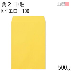 [P[X̔] RN  p2 \ KCG[ 100g giV 500 / A4p J[Ntg n X֔ԍgȂ  p Ɩp  Зp rWlX ItBX c c^ 00532005-0500