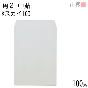 RN  p2 \ KXJC 100g giV 100 / A4p J[Ntg n X֔ԍgȂ  p Ɩp  Зp rWlX ItBX c c^ 00532006-0100